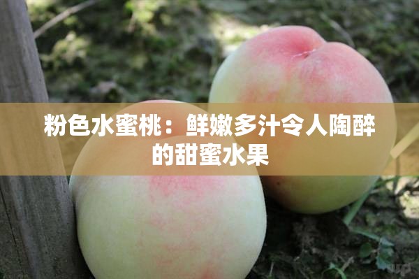 粉色水蜜桃：鲜嫩多汁令人陶醉的甜蜜水果