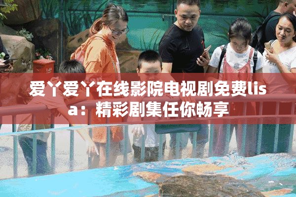 爱丫爱丫在线影院电视剧免费lisa：精彩剧集任你畅享