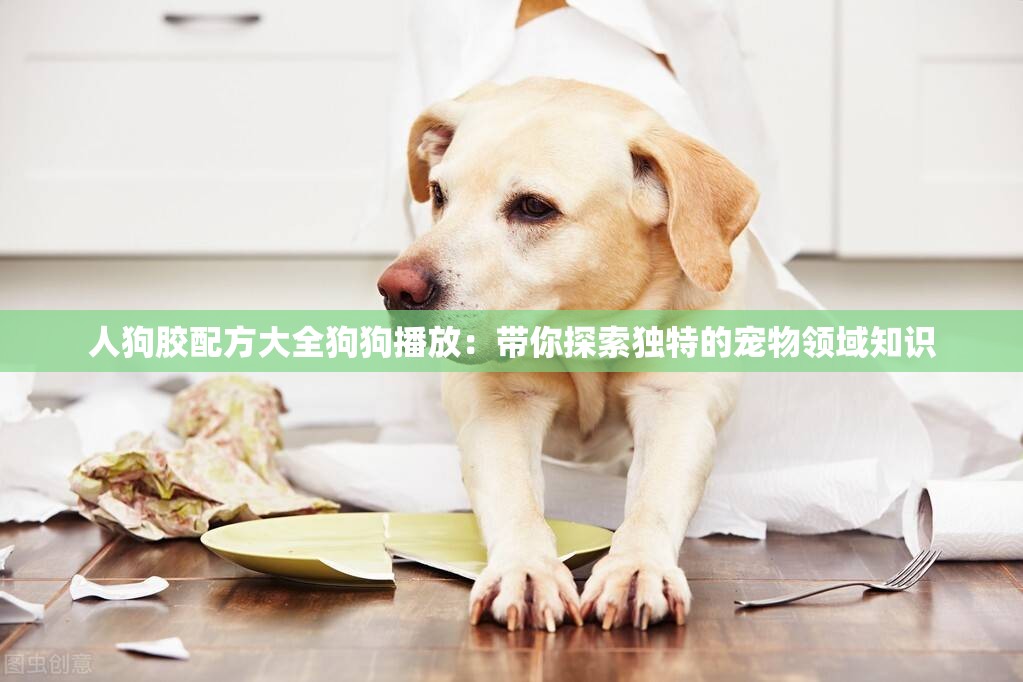 人狗胶配方大全狗狗播放：带你探索独特的宠物领域知识