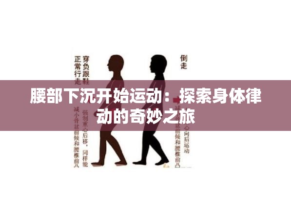 腰部下沉开始运动：探索身体律动的奇妙之旅
