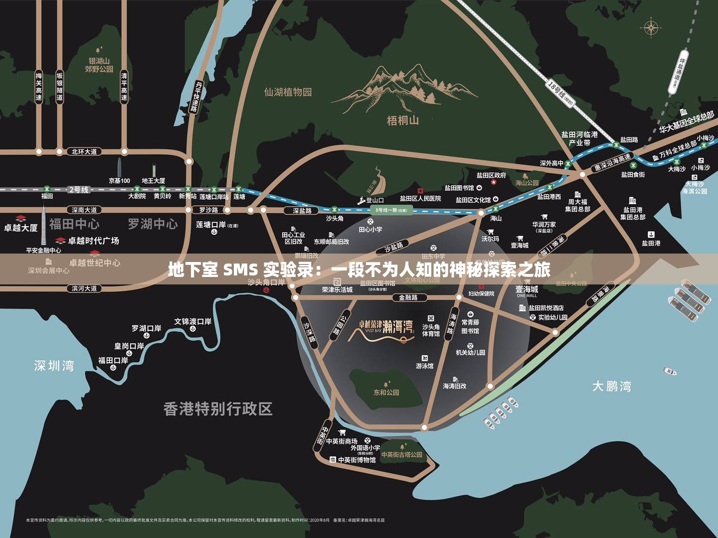 地下室 SMS 实验录：一段不为人知的神秘探索之旅