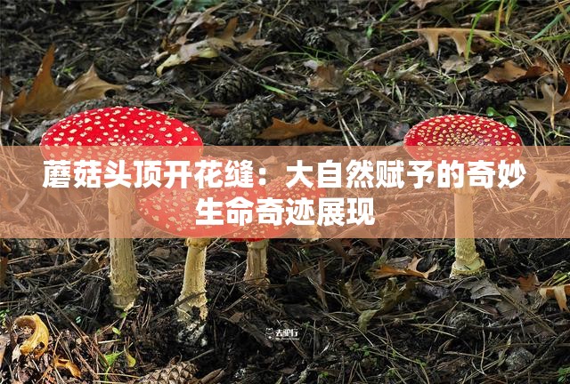 蘑菇头顶开花缝：大自然赋予的奇妙生命奇迹展现