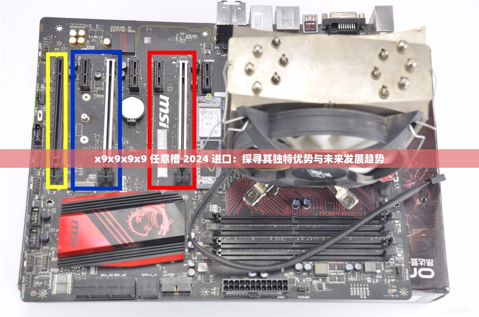 x9x9x9x9 任意槽 2024 进口：探寻其独特优势与未来发展趋势