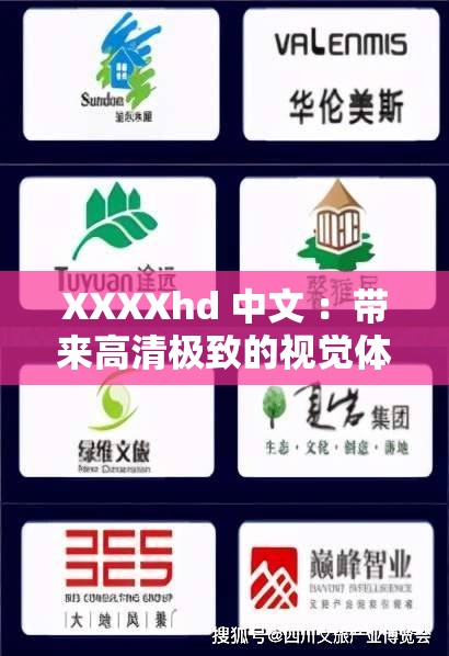 XXXXhd 中文 ：带来高清极致的视觉体验之旅