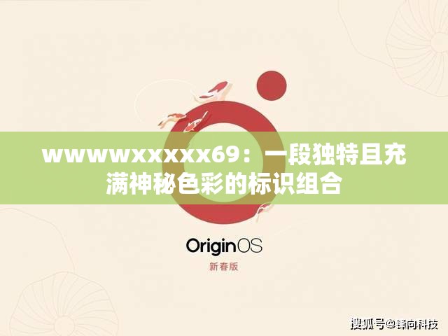 wwwwxxxxx69：一段独特且充满神秘色彩的标识组合