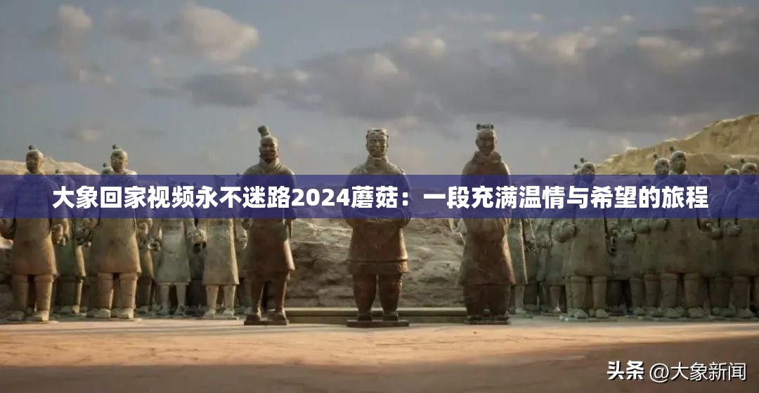 大象回家视频永不迷路2024蘑菇：一段充满温情与希望的旅程