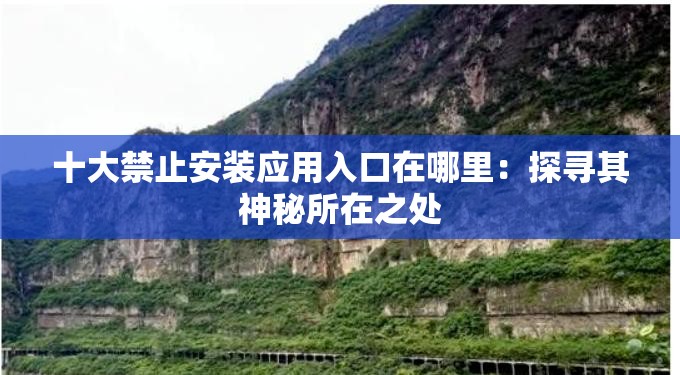 十大禁止安装应用入口在哪里：探寻其神秘所在之处