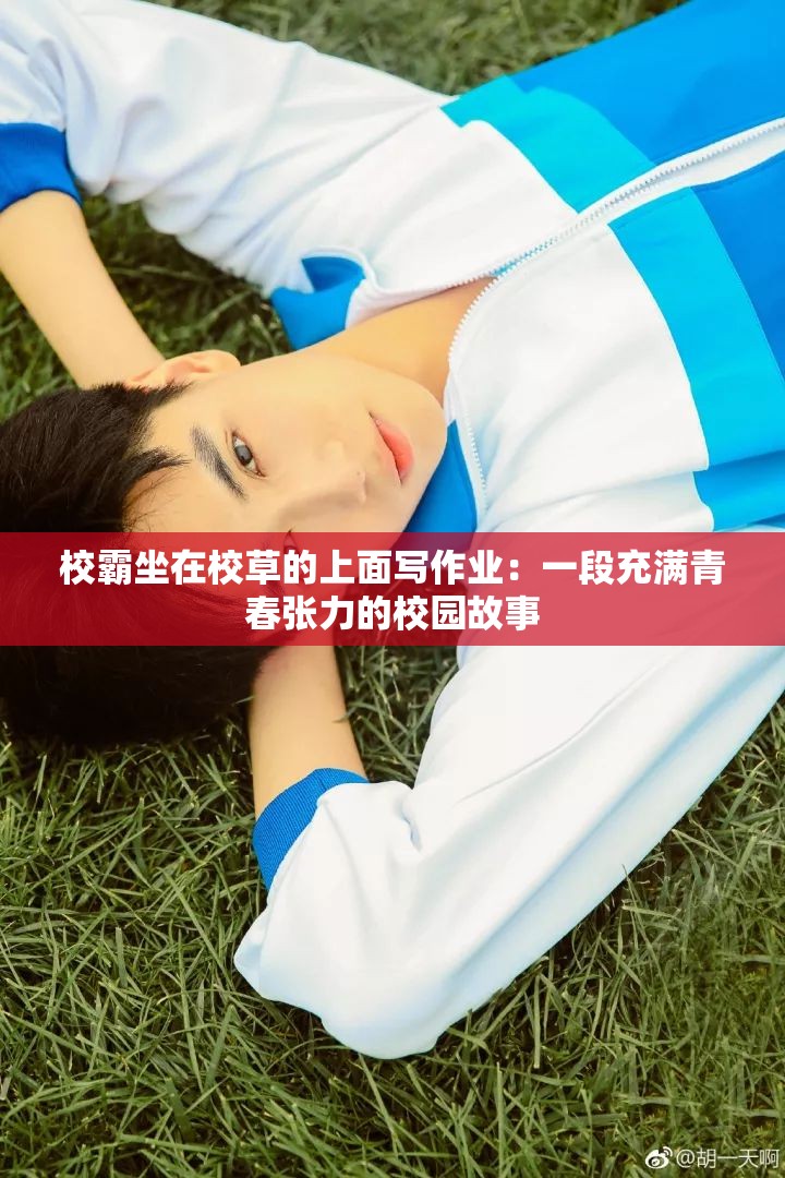 校霸坐在校草的上面写作业：一段充满青春张力的校园故事