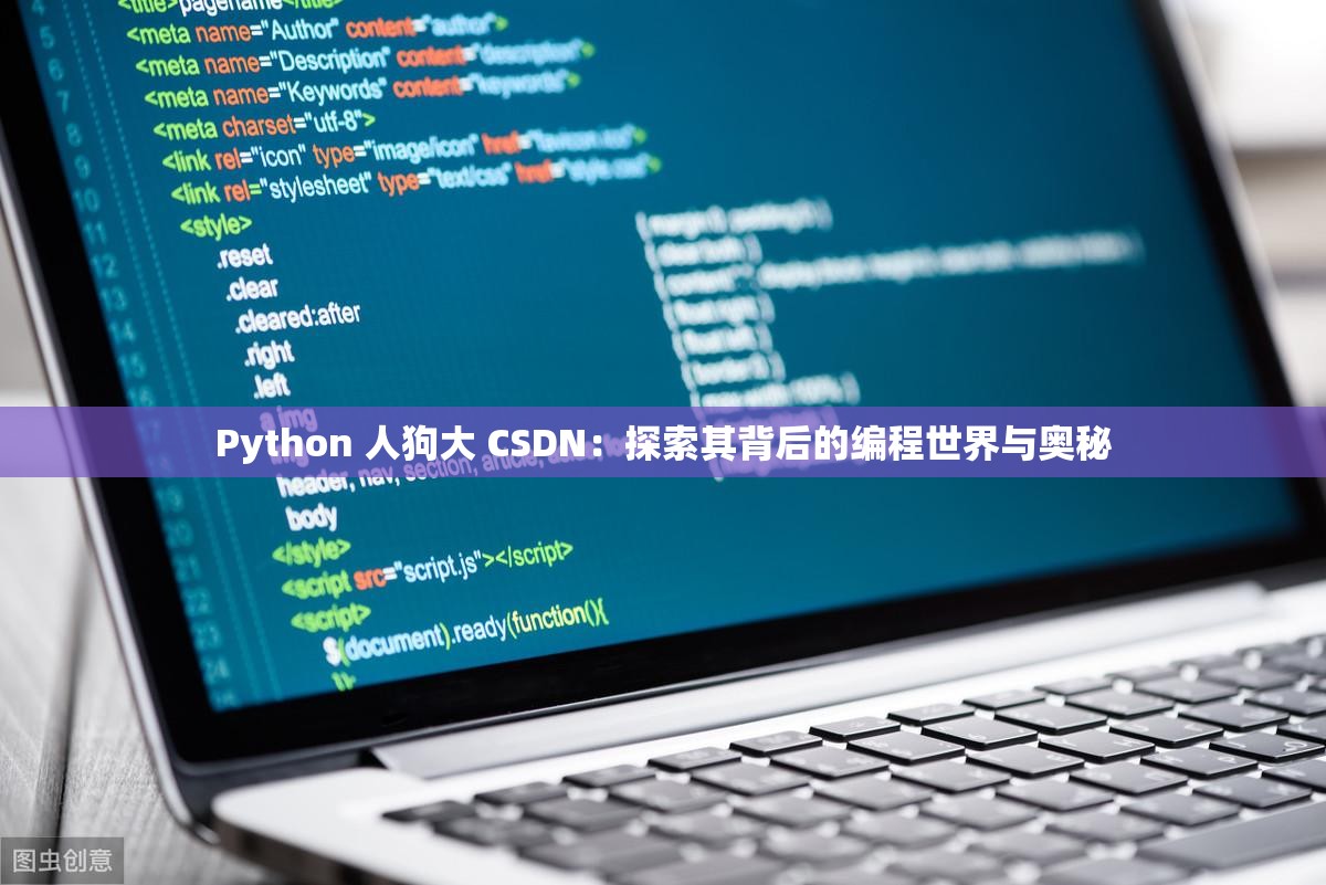Python 人狗大 CSDN：探索其背后的编程世界与奥秘