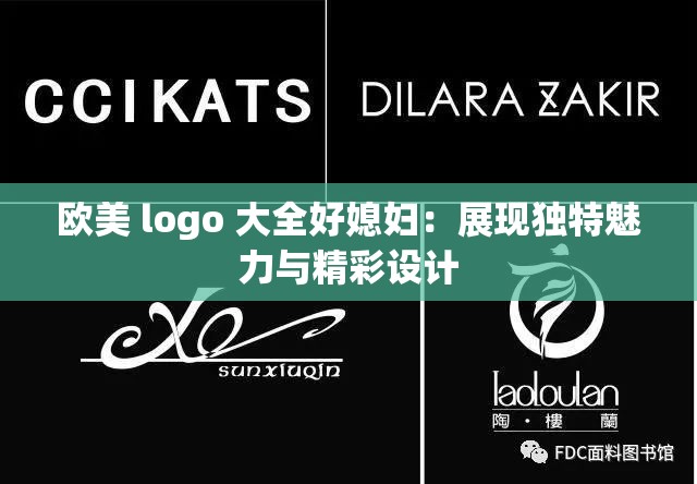欧美 logo 大全好媳妇：展现独特魅力与精彩设计