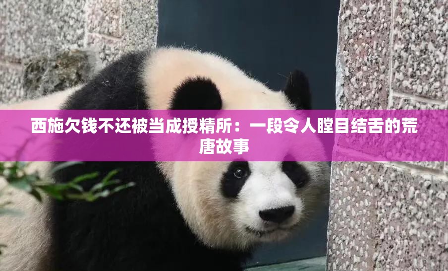 西施欠钱不还被当成授精所：一段令人瞠目结舌的荒唐故事