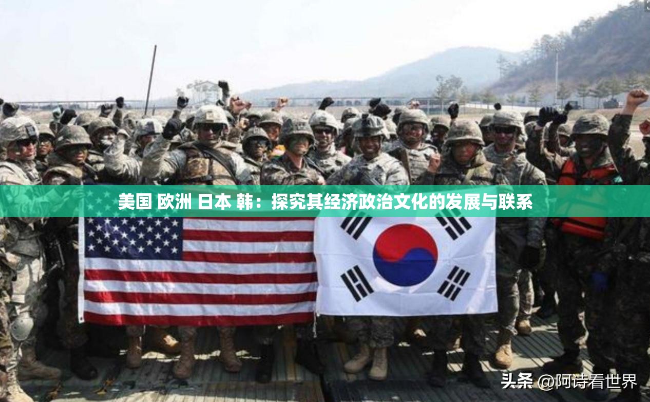 美国 欧洲 日本 韩：探究其经济政治文化的发展与联系