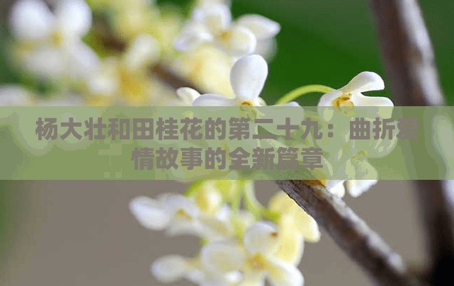 杨大壮和田桂花的第二十九：曲折爱情故事的全新篇章