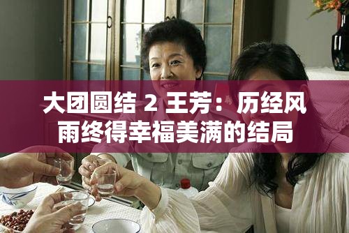 大团圆结 2 王芳：历经风雨终得幸福美满的结局