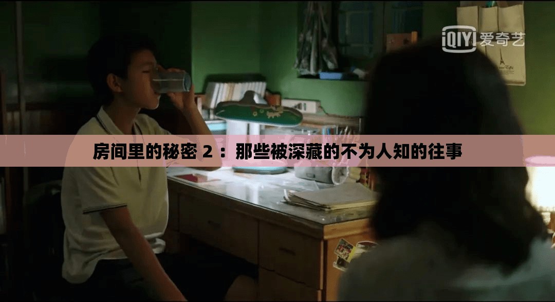 房间里的秘密 2 ：那些被深藏的不为人知的往事