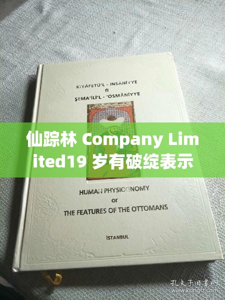 仙踪林 Company Limited19 岁有破绽表示：深度探究背后的真相