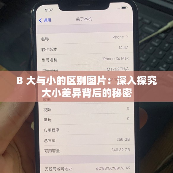 B 大与小的区别图片：深入探究大小差异背后的秘密
