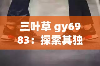 三叶草 gy6983：探索其独特魅力与无限可能