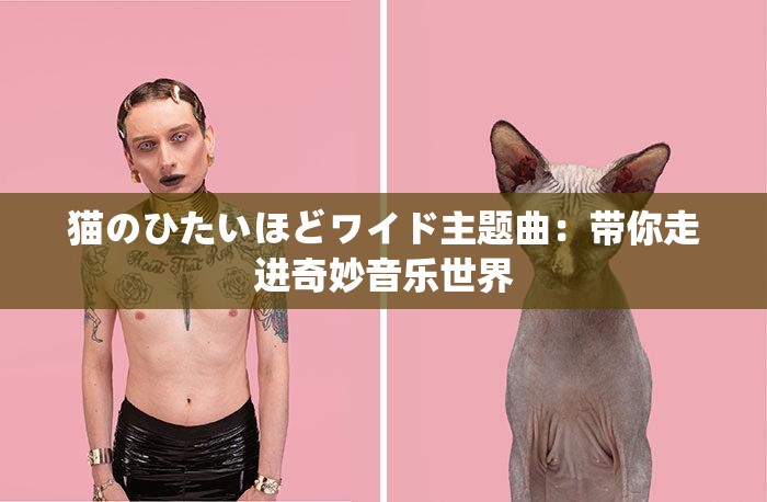 猫のひたいほどワイド主题曲：带你走进奇妙音乐世界