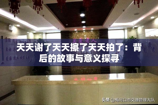 天天谢了天天擦了天天拍了：背后的故事与意义探寻