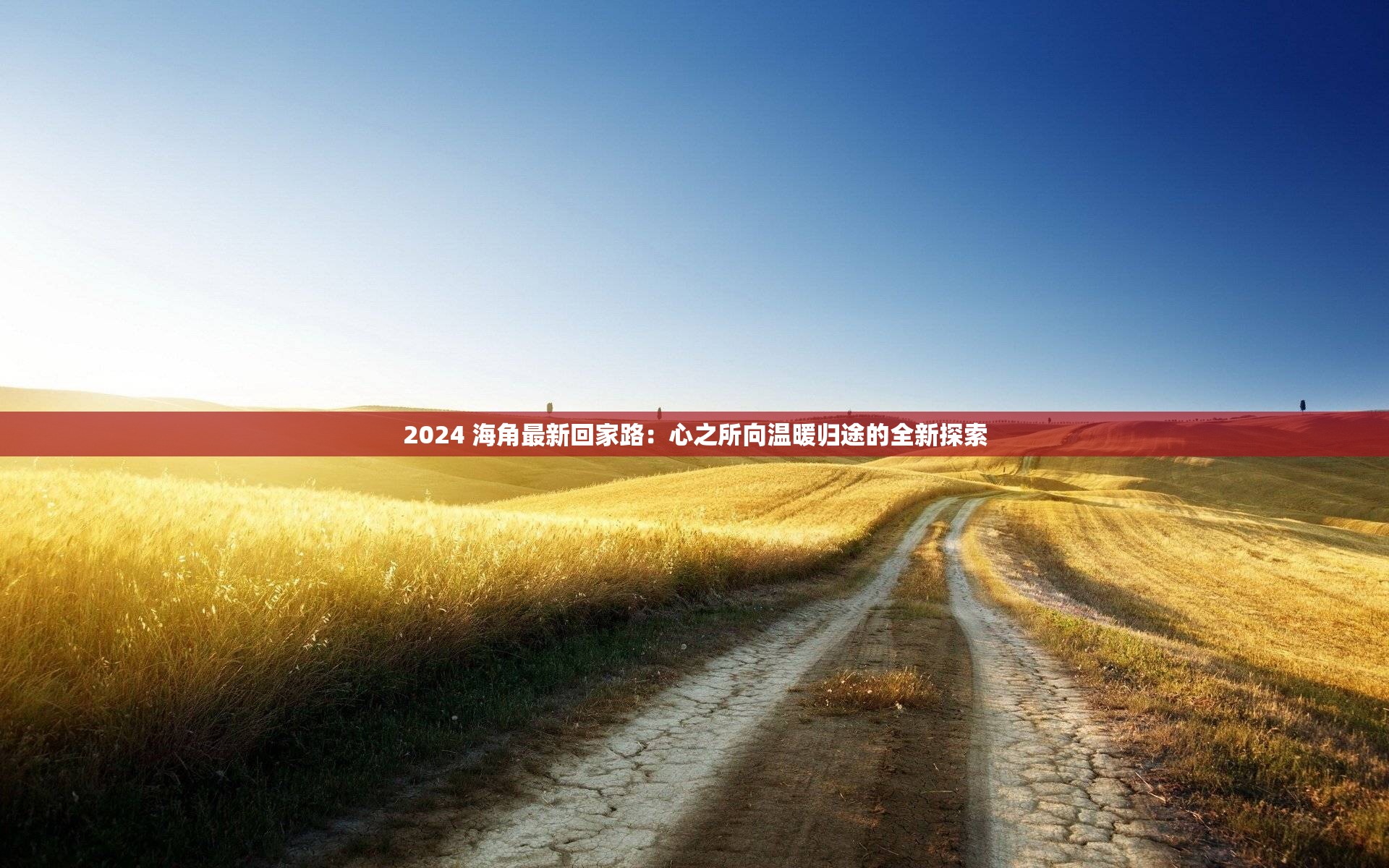 2024 海角最新回家路：心之所向温暖归途的全新探索