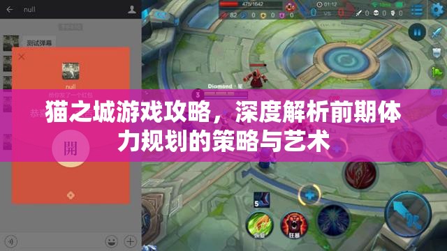 猫之城游戏攻略，深度解析前期体力规划的策略与艺术