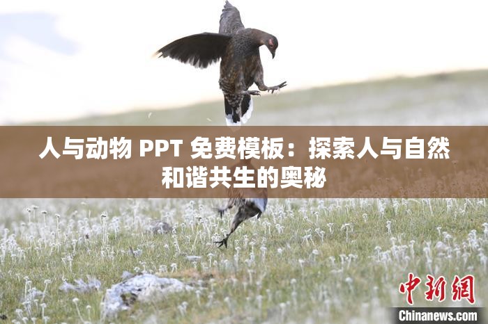 人与动物 PPT 免费模板：探索人与自然和谐共生的奥秘