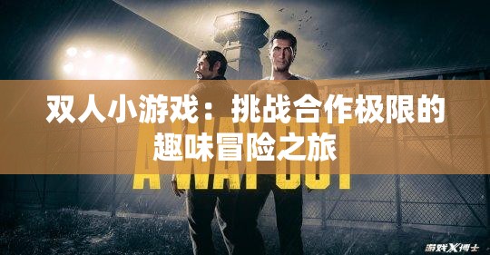 双人小游戏：挑战合作极限的趣味冒险之旅