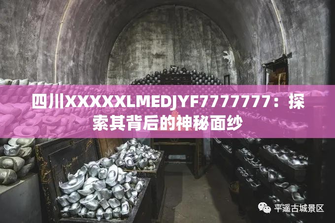 四川XXXXXLMEDJYF7777777：探索其背后的神秘面纱