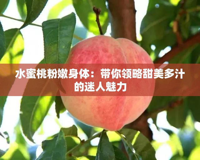 水蜜桃粉嫩身体：带你领略甜美多汁的迷人魅力