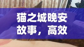 猫之城晚安故事，高效阵容搭配策略、精细资源管理与价值最大化指南