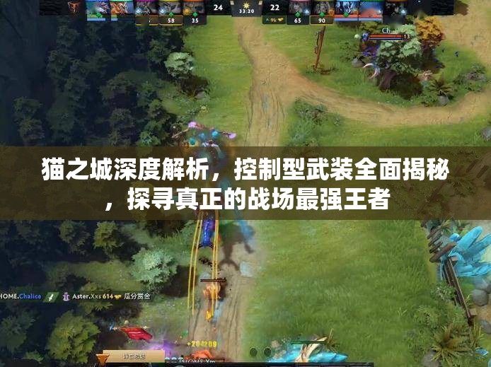 猫之城深度解析，控制型武装全面揭秘，探寻真正的战场最强王者