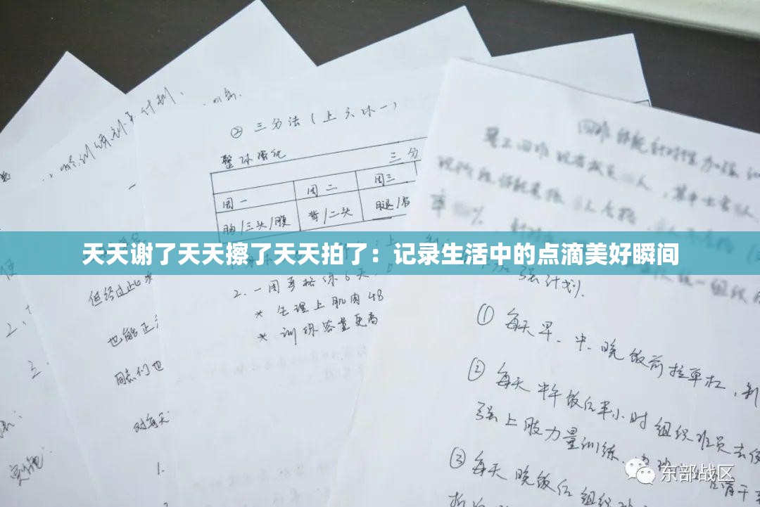 天天谢了天天擦了天天拍了：记录生活中的点滴美好瞬间