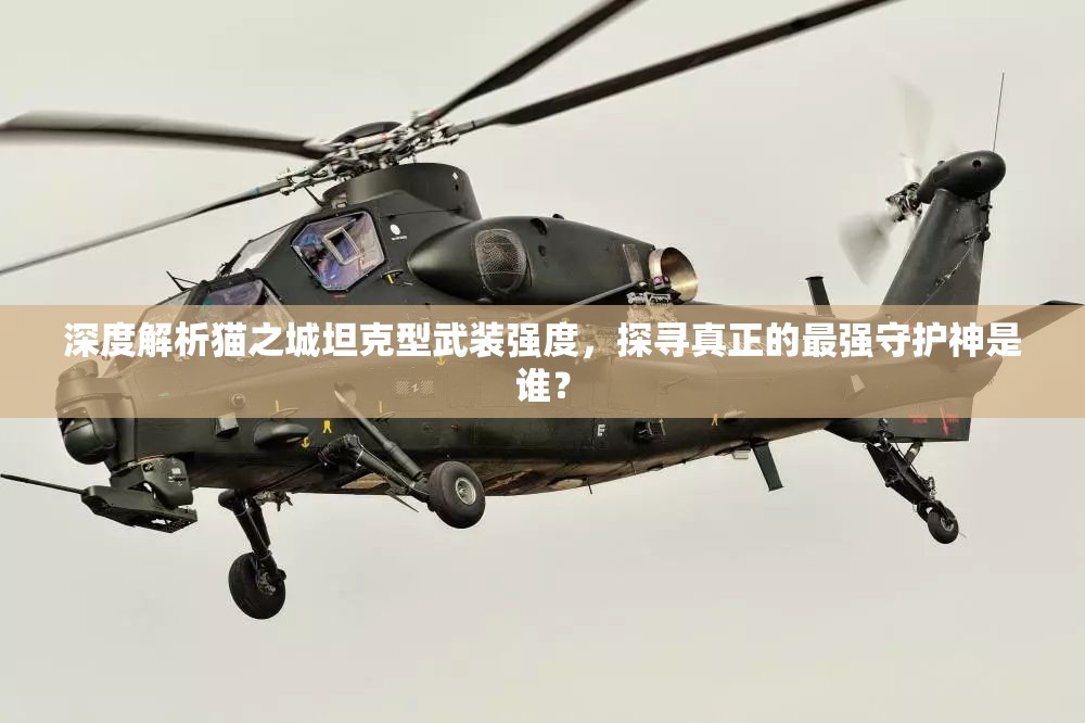 深度解析猫之城坦克型武装强度，探寻真正的最强守护神是谁？