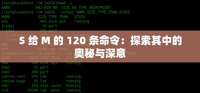 S 给 M 的 120 条命令：探索其中的奥秘与深意