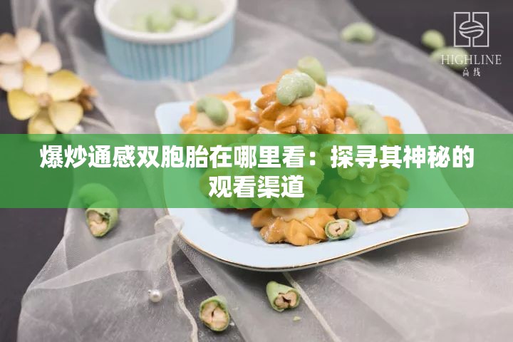 爆炒通感双胞胎在哪里看：探寻其神秘的观看渠道