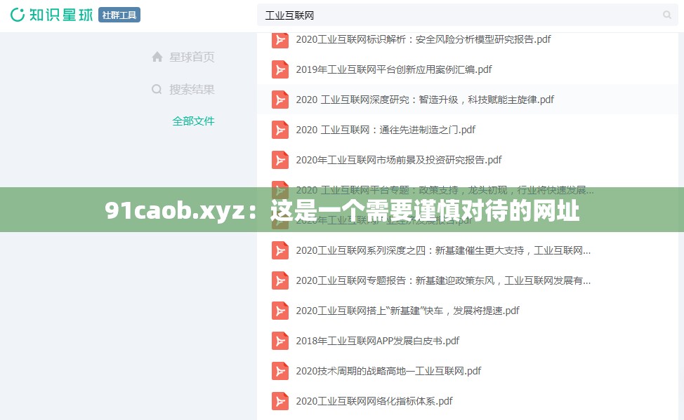 91caob.xyz：这是一个需要谨慎对待的网址