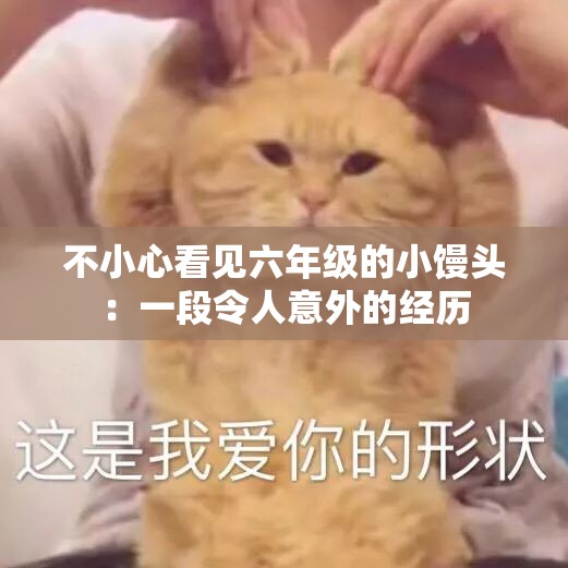 不小心看见六年级的小馒头：一段令人意外的经历