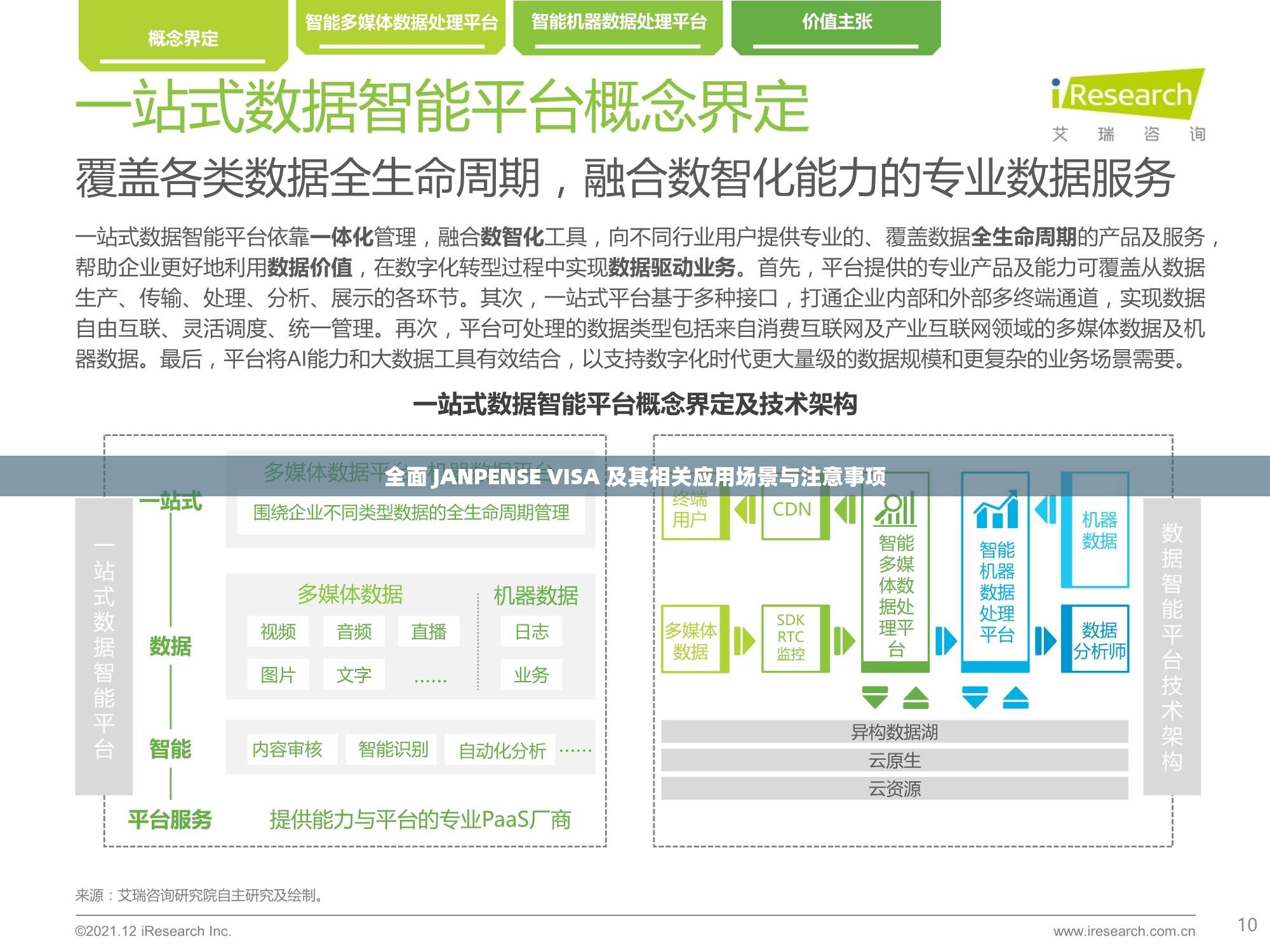 全面 JANPENSE VISA 及其相关应用场景与注意事项