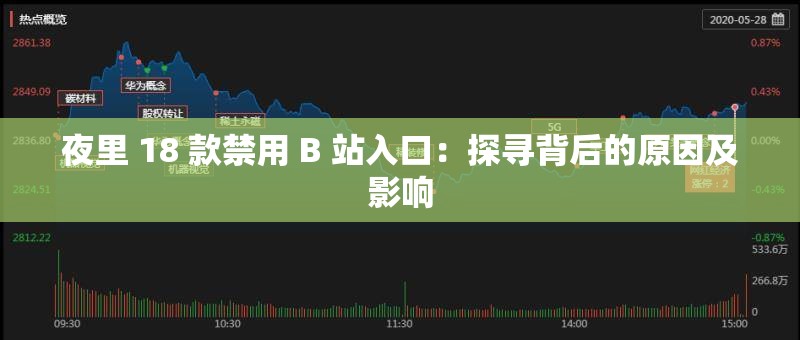 夜里 18 款禁用 B 站入口：探寻背后的原因及影响