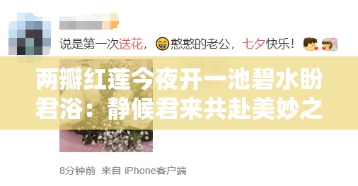 两瓣红莲今夜开一池碧水盼君浴：静候君来共赴美妙之约
