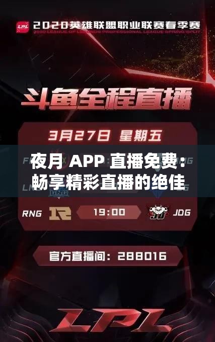 夜月 APP 直播免费：畅享精彩直播的绝佳平台