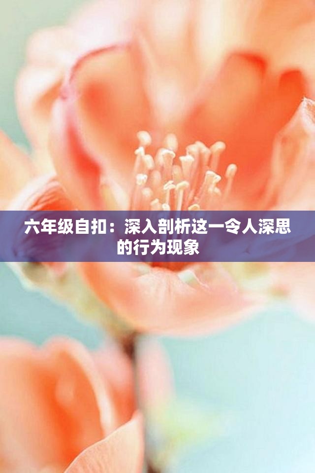 六年级自扣：深入剖析这一令人深思的行为现象