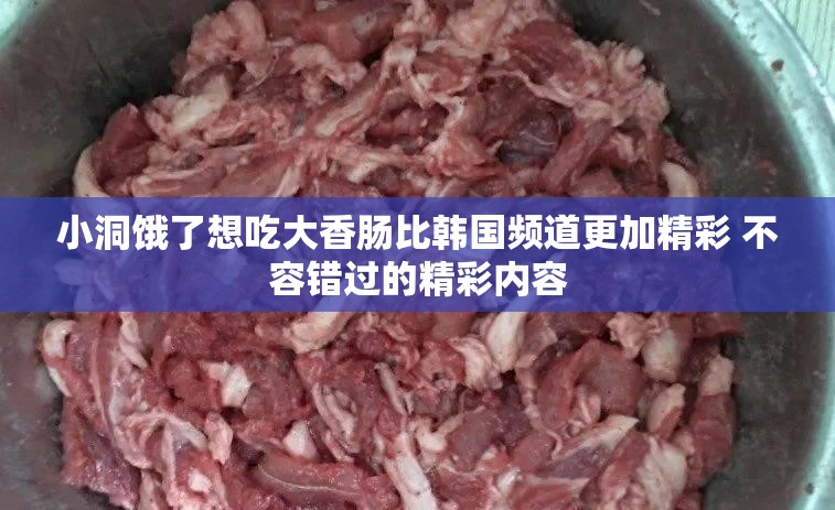 小洞饿了想吃大香肠比韩国频道更加精彩 不容错过的精彩内容