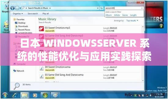 日本 WINDOWSSERVER 系统的性能优化与应用实践探索