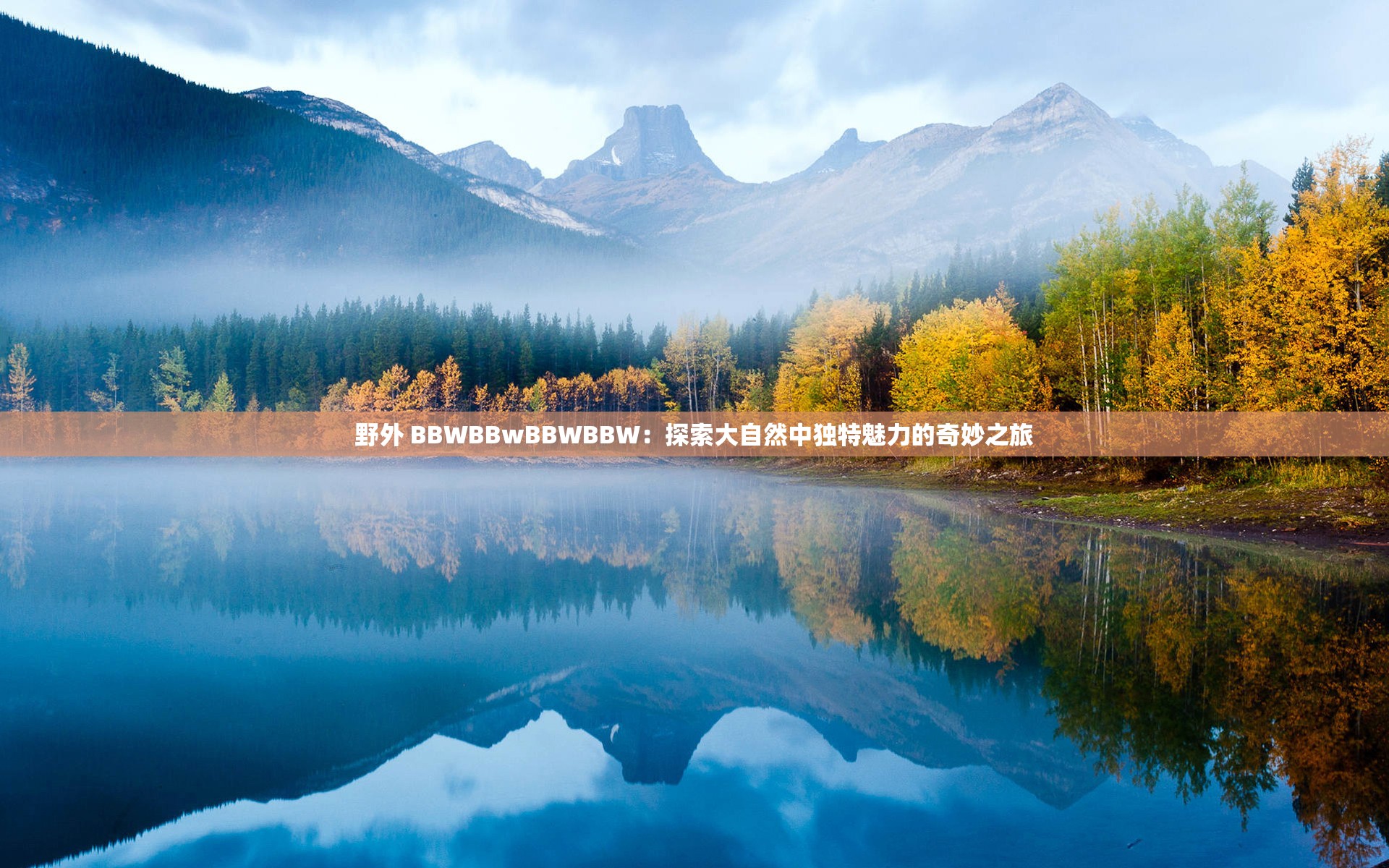 野外 BBWBBwBBWBBW：探索大自然中独特魅力的奇妙之旅