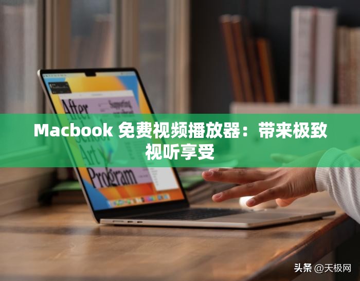 Macbook 免费视频播放器：带来极致视听享受