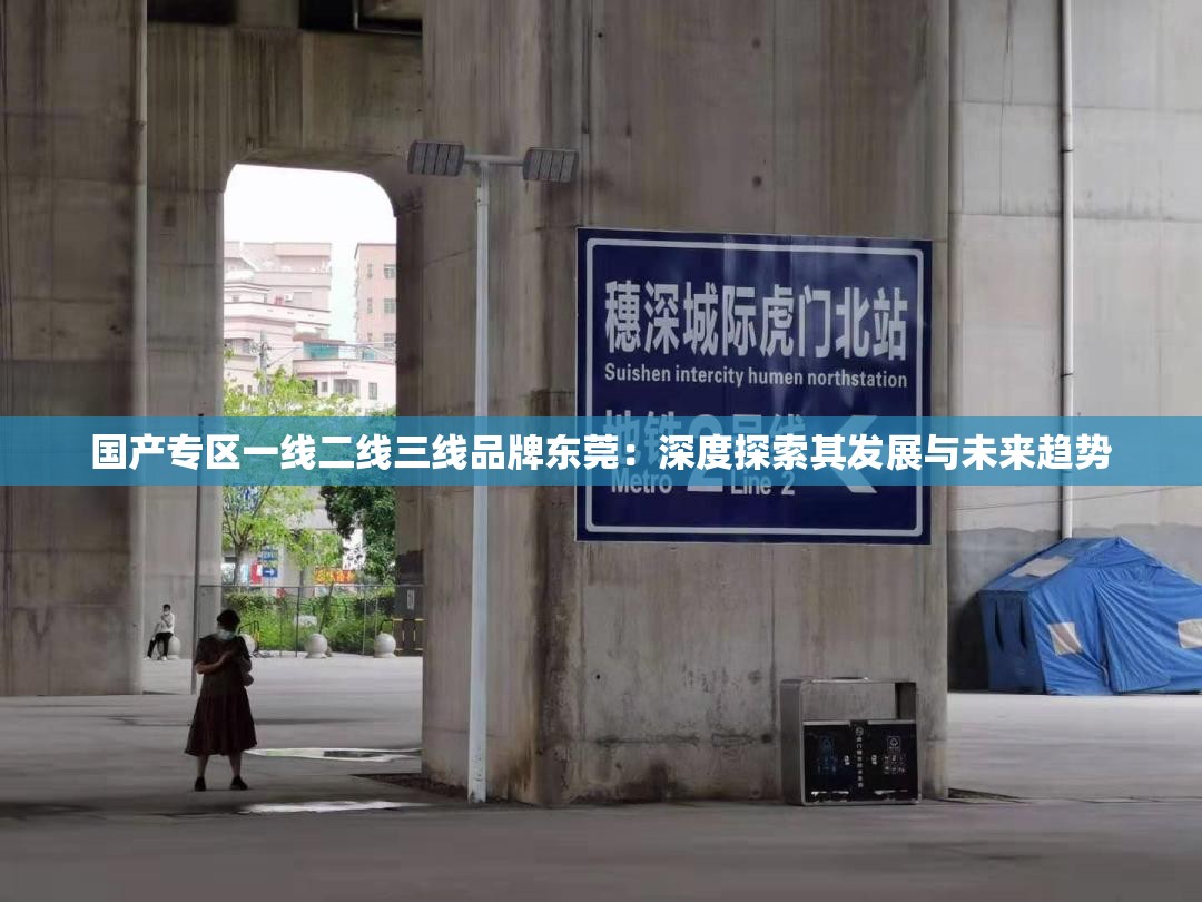 国产专区一线二线三线品牌东莞：深度探索其发展与未来趋势