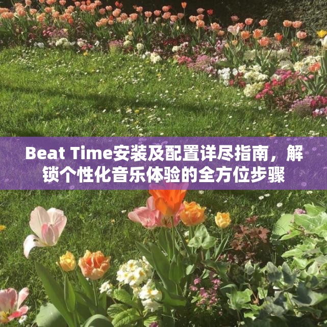 Beat Time安装及配置详尽指南，解锁个性化音乐体验的全方位步骤