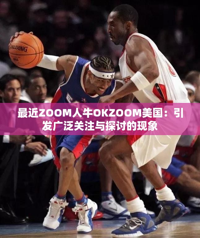 最近ZOOM人牛OKZOOM美国：引发广泛关注与探讨的现象